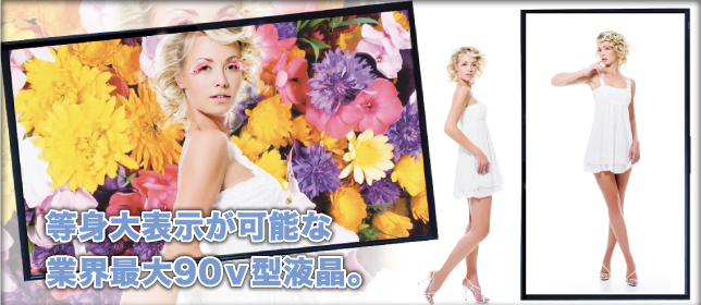 アイレスオリジナルスタンド
